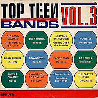 Various ‎– Top Teen Bands Vol. 3