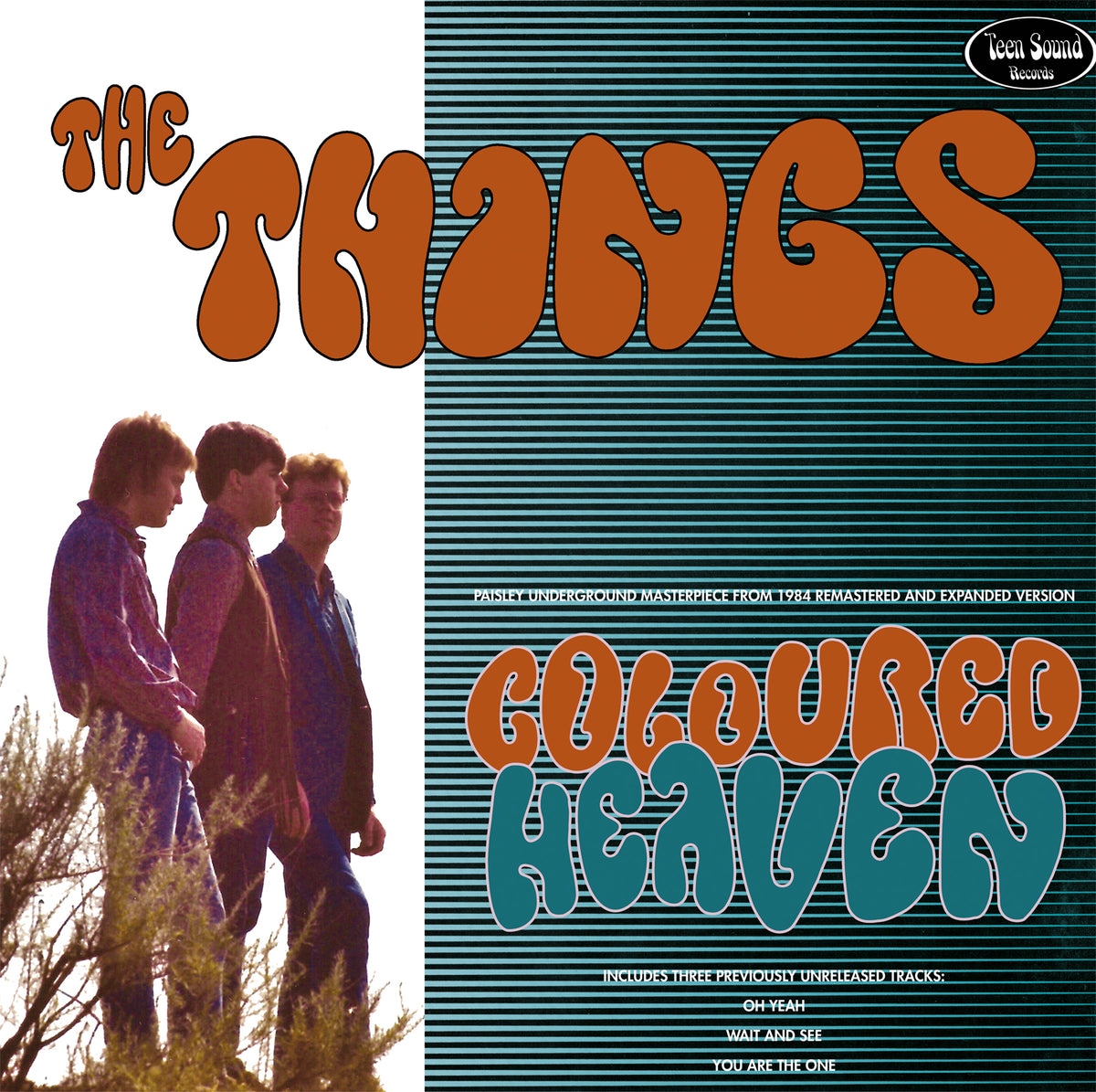 THE THINGS "Coloured Heaven" (LP - New Master w/3 Bonus tracks)