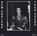 Various ‎– New England Teen Scene Vol. III LP