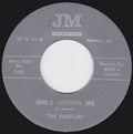 The Possums  King In His world – She's Loving Me 45