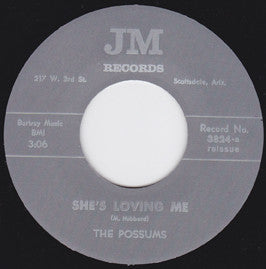 The Possums  King In His world – She's Loving Me 45