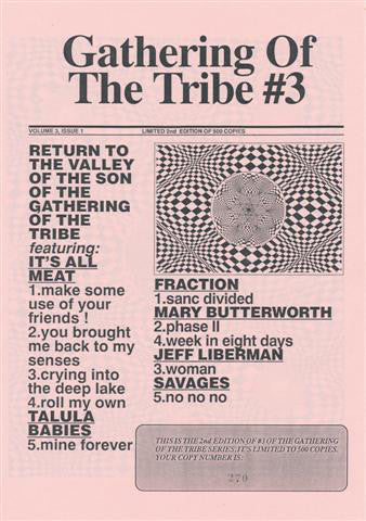 V/A "Gathering Of The Tribe" #3 LP