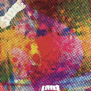 The LITTER"$100 fine" - Sundazed LP